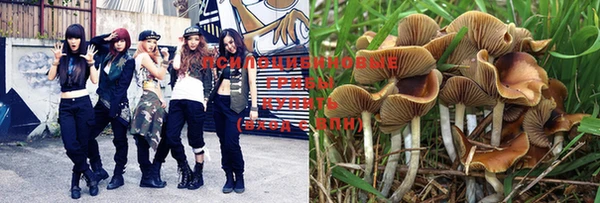 стафф Навашино