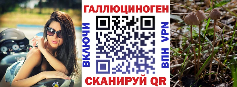 Галлюциногенные грибы Psilocybine cubensis  Купить где  Старый Оскол 